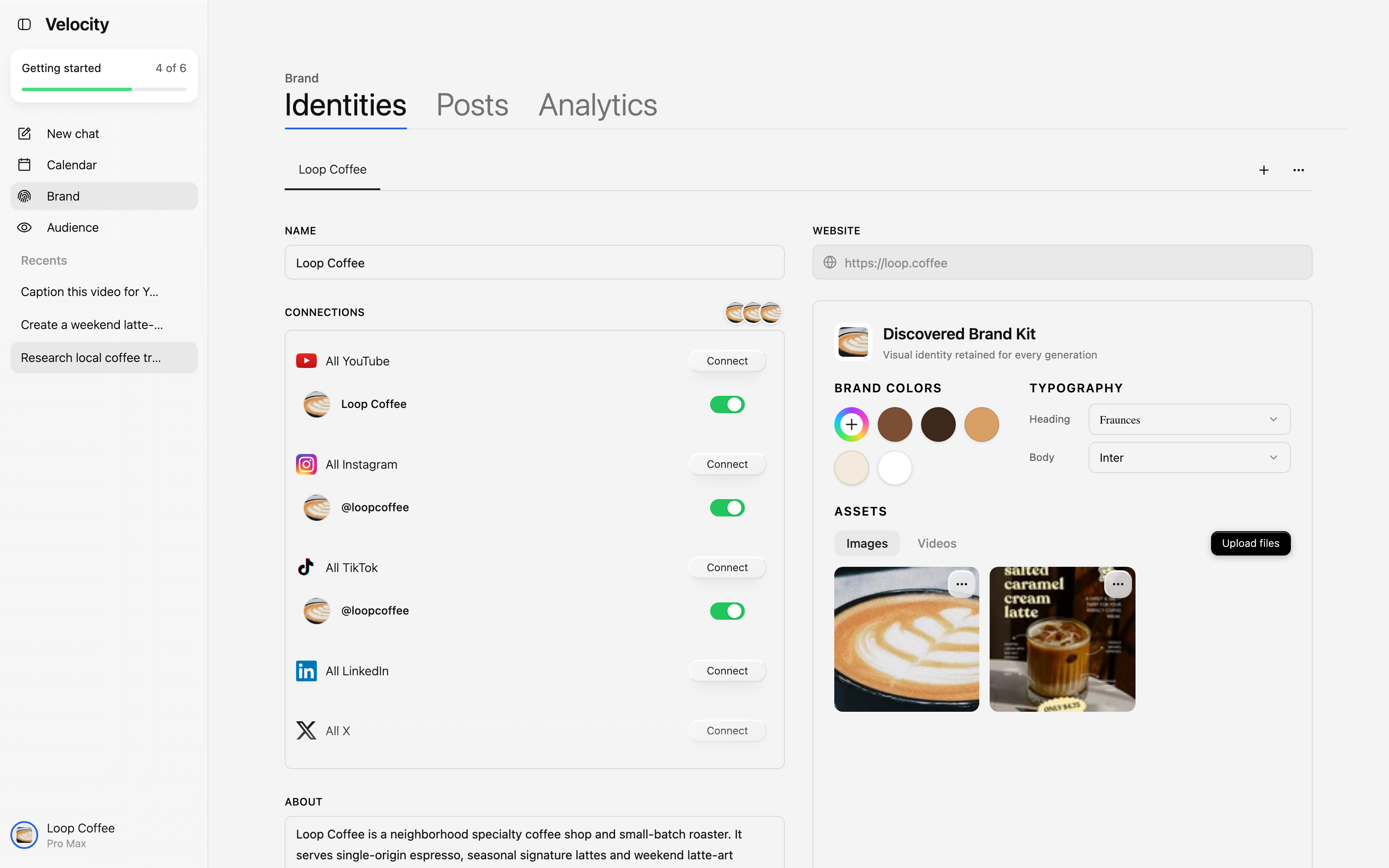 Velocity Brand Identities screen showing Loop Coffee's connected Instagram, YouTube, and TikTok destinations alongside its visual identity.