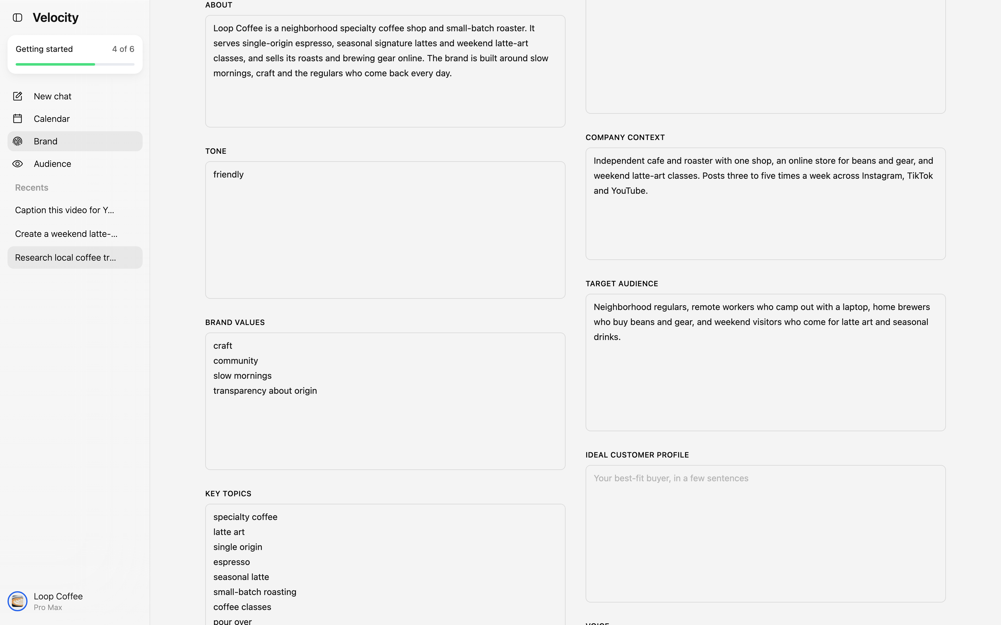Velocity Brand Identity details showing Loop Coffee's brand description, tone, values, company context, audience, and content topics.