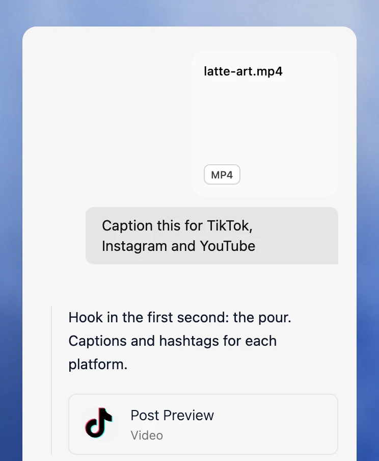 Velocity chat with an uploaded video and a TikTok post preview
