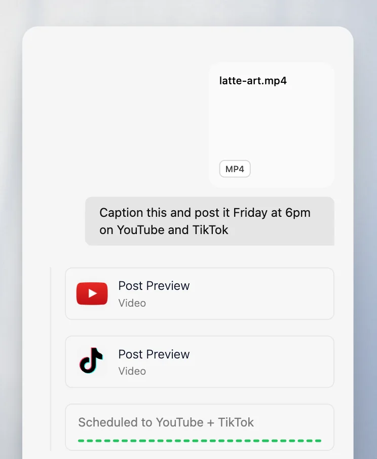 A video uploaded in Velocity chat with YouTube and TikTok post previews scheduled for Friday